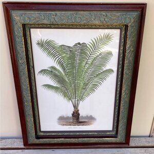 Framed Botanical Print Illustration 22'" x 17.5"